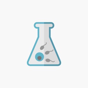 fecundacion post mortem